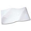 Blank Beach Towel